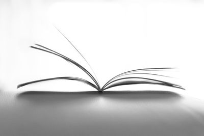 Close-up of open book against white background