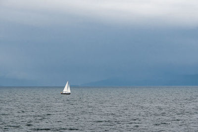 Sailboat sailing on sea against sky