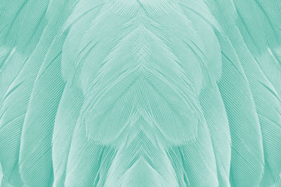 Full frame shot of green leaf