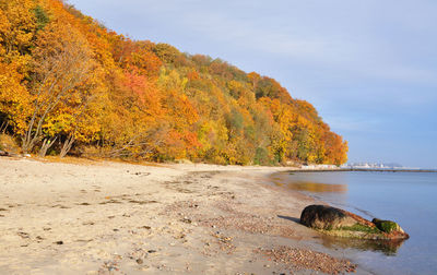 Scenic view of calm sea against sky