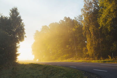 Country road at morning