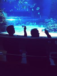 Rear view of silhouette people in aquarium
