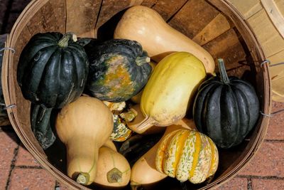 Close-up of pumpkins