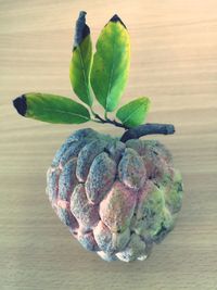 Close-up of fruit on table