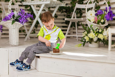 Rear view of boy sitting on purple flowering plants