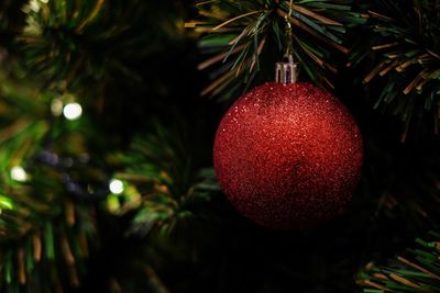 Close-up of christmas tree