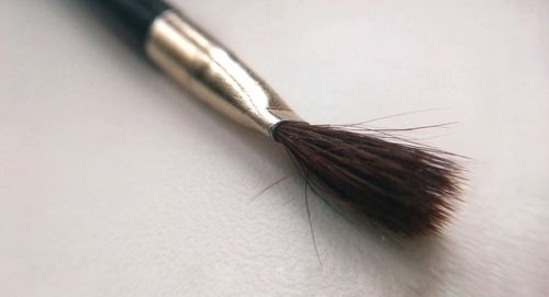 Close-up of fly on table