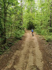 Man riding bicycle on dirt road in forest