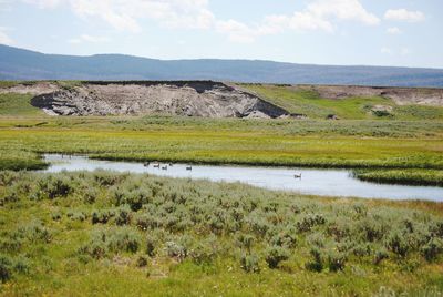 Scenic view of landscape against sky