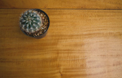 High angle view of bread on wooden table