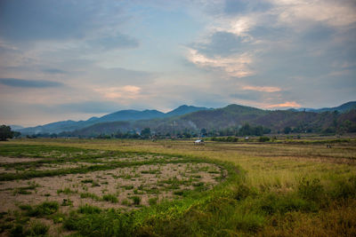 Scenic view of field against sky