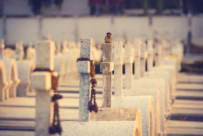 Close-up of cross in row against fence