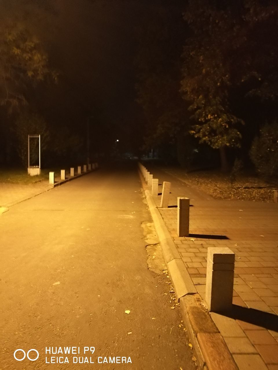 EMPTY NARROW ROAD ALONG TREES AT NIGHT