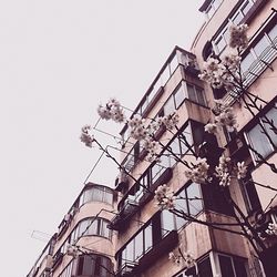 Low angle view of building against clear sky