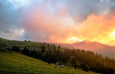 Scenic view of agricultural field against sky at sunset