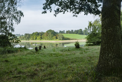 Scenic view of field against sky