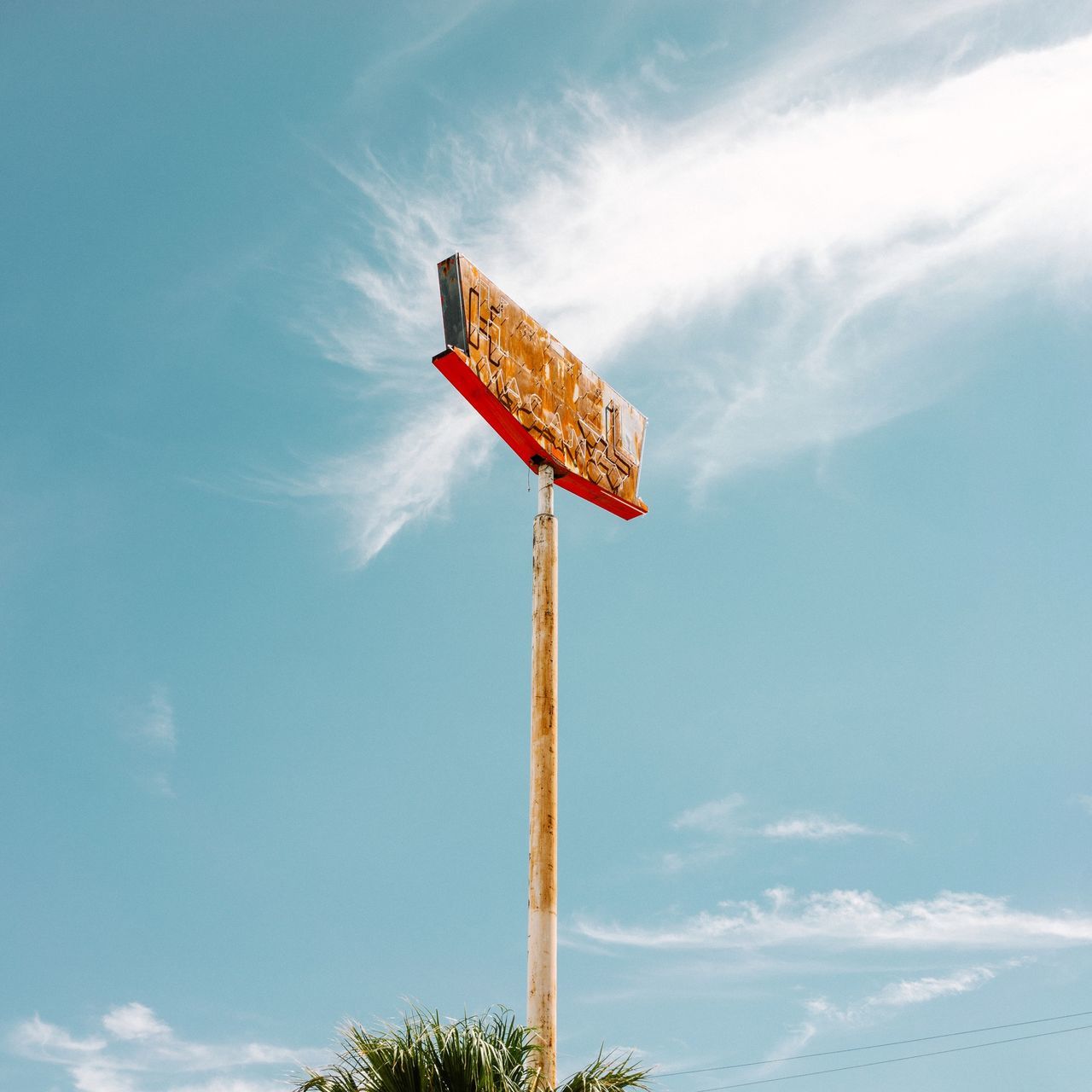 sky, cloud - sky, low angle view, nature, day, no people, plant, outdoors, sign, communication, guidance, directional sign, symbol, pole, information, text, information sign, arrow symbol, blue, protection