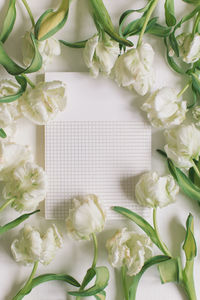 Directly above shot of white rose bouquet