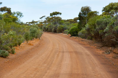 Dirt road amidst trees against sky