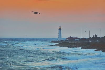 Seagull flying over sea against sky during sunset