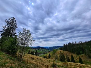 Scenic view of field against sky