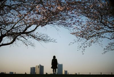 Woman standing on tree trunk