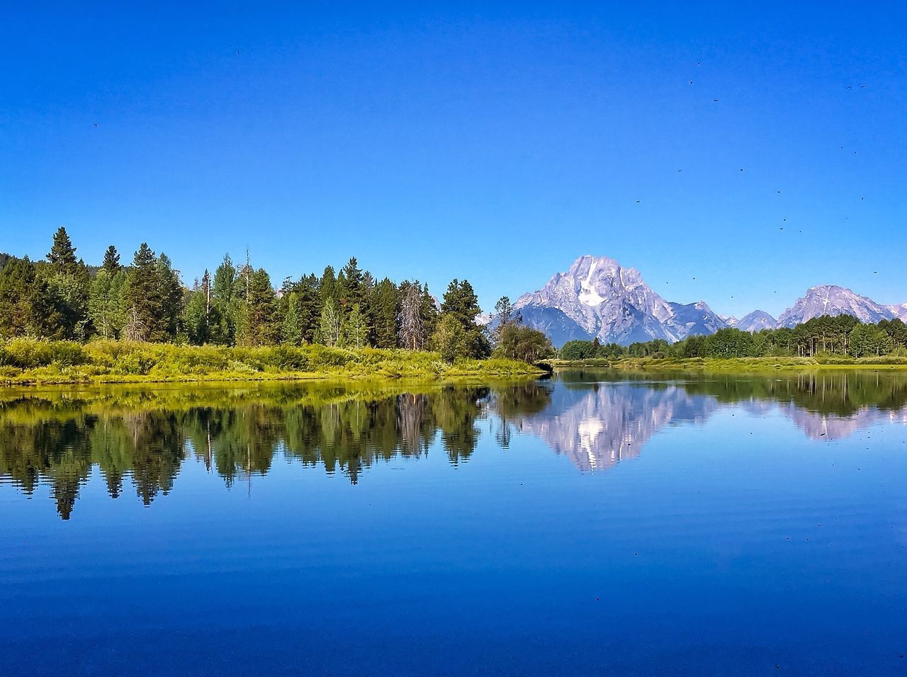 Oxbow bend Moran wyoming