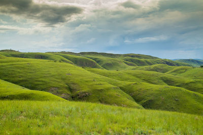 Scenic view of green landscape against sky