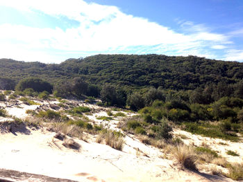 Scenic view of landscape against sky