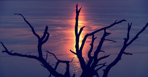 Silhouette bare tree against sky during sunset