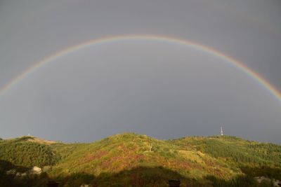 rainbow