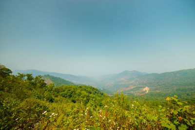 Scenic view of landscape against clear sky