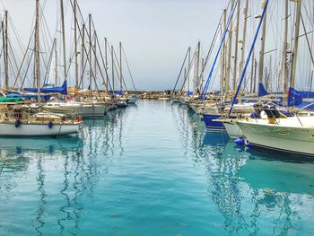 Sailboats moored in harbor