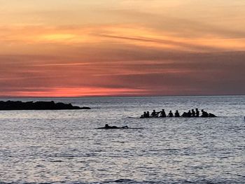 Silhouette birds on sea against sky during sunset