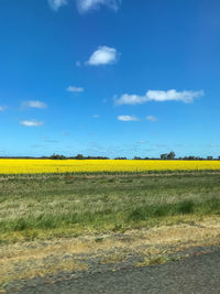 Scenic view of field against sky