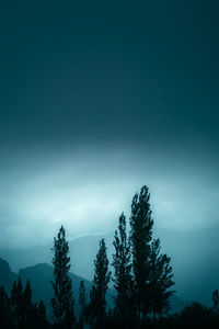 Low angle view of silhouette trees against sky.