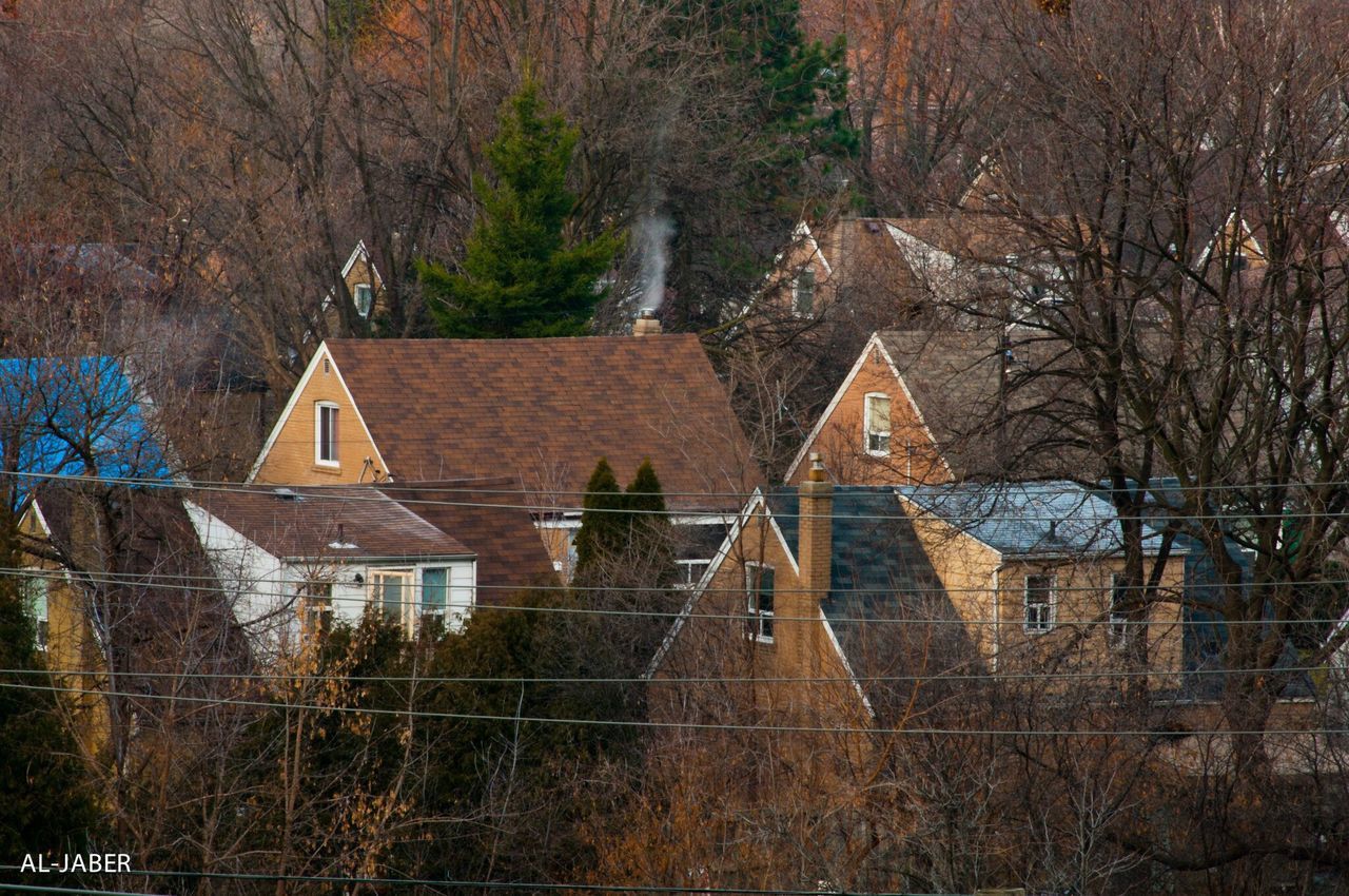 BARE TREES IN A BUILDING