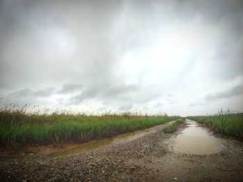 Dirt road amidst agricultural field against sky
