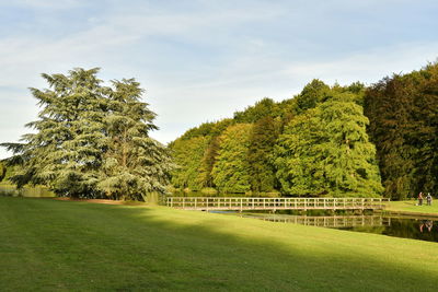 Trees on landscape against sky