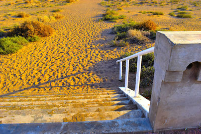 High angle view of yellow footpath amidst field