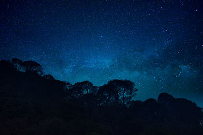 Low angle view of silhouette trees against star field at night