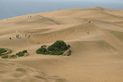 Scenic view of desert against sky