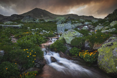 Summer landscape from retezat mountains natural park, romania.
