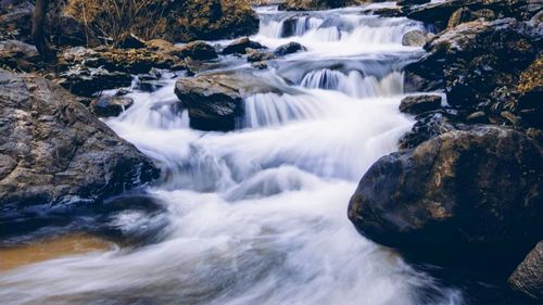 Scenic view of waterfall in forest