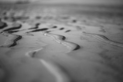 Close-up of wet sand