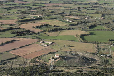 High angle view of agricultural field