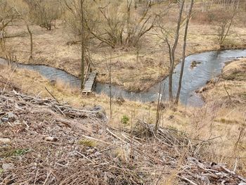 Scenic view of river flowing through forest