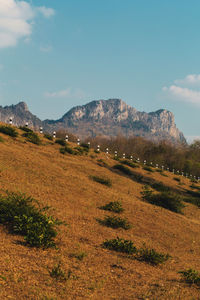 Scenic view of landscape against sky