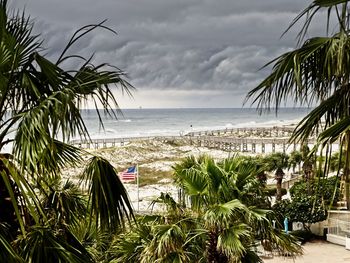 Palm trees on beach against sky