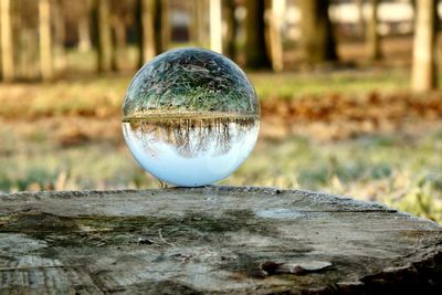 Close-up of crystal ball on field